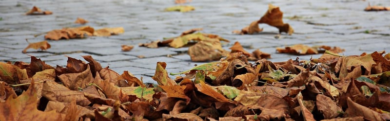 Autumn centrepiece